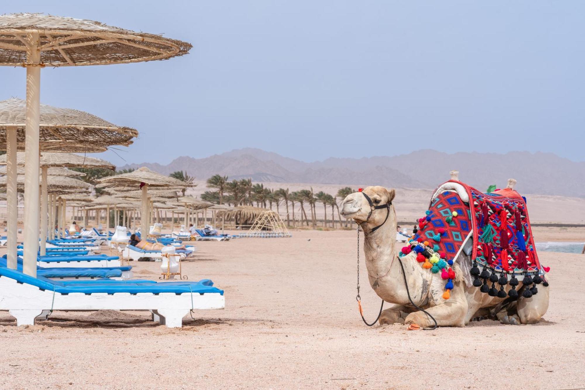 Hotel Faraana Heights Aqua Park Sharm El-Sheikh Exterior foto